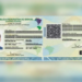 Conheça a sua Nova Carteira de Identidade, ela vai substituir o RG!