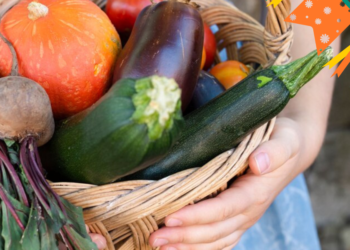 Vale Junino CONFIRMADO para estes CPF'S! Veja AGORA se você foi premiado com R$ 300,00