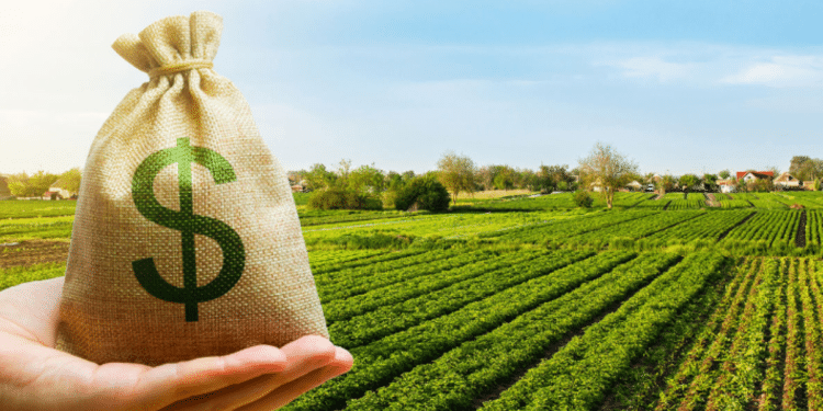Beneficiários do Bolsa Família: Sua OPORTUNIDADE de Trabalho Temporário no Agro chegou!