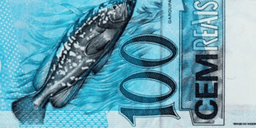 Quatro grupos que receberão o PIS 2025: Veja se você está na lista!