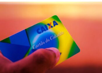 Como verificar meu número do NIS? Simples e Prático