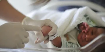 O que preciso fazer para incluir meu bebê no Cadastro Único
