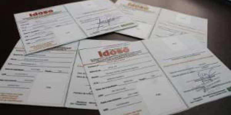 Carteira do Idoso 2024: Como Funciona?