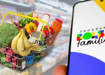 ADICIONAL DE R$330,00 no Bolsa Família para alimentação: É VERDADE? Como solicitar?