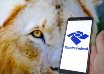 Datas Importantes para Receber sua Restituição do Imposto de Renda em 2024