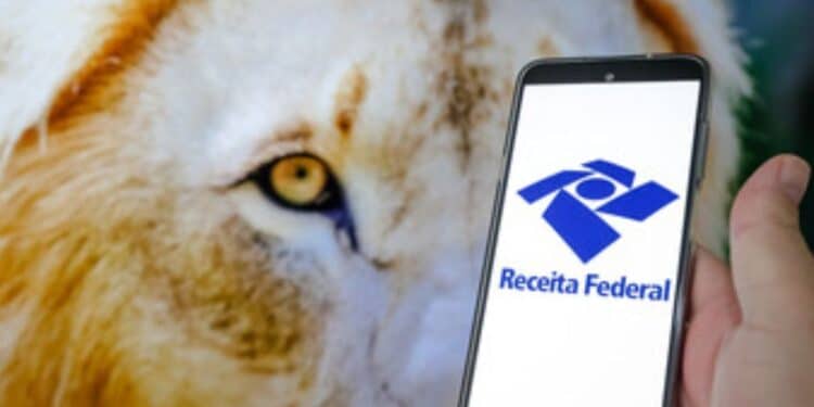 Datas Importantes para Receber sua Restituição do Imposto de Renda em 2024