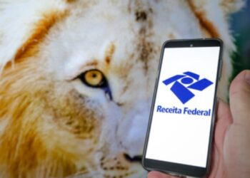 Atenção Contribuintes! 3º Lote da Restituição do IRPF Sai Este Mês.