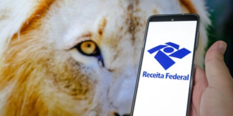 Restituição do Imposto de Renda: Perdeu o 2° Lote? Veja as Próximas Datas de Pagamento