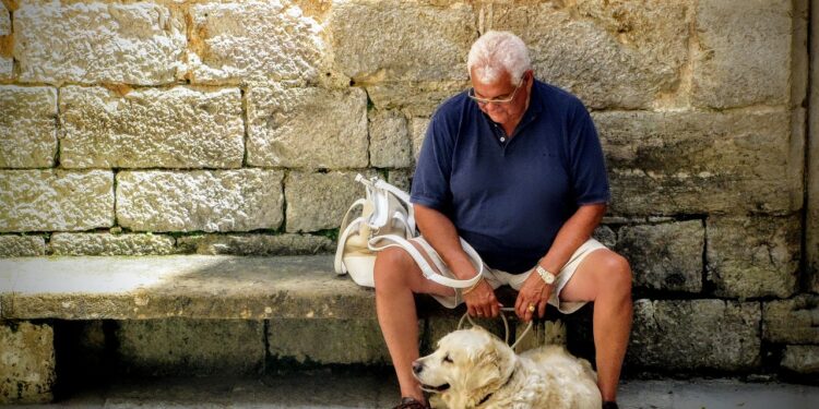 Isenção de Pagamentos para Idosos com Mais de 60 Anos: Tudo o Que Você Precisa Saber