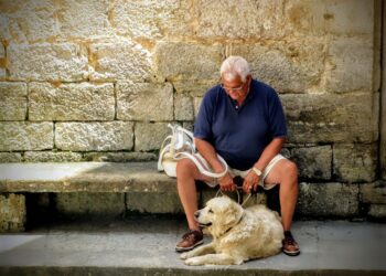 Tudo o que Você Precisa Saber sobre a Aposentadoria Especial do INSS: Guia Completo e Atualizado