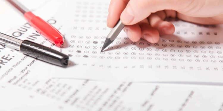 Bolsa do Governo para quem deseja estudar para concursos públicos existe? Confira!
