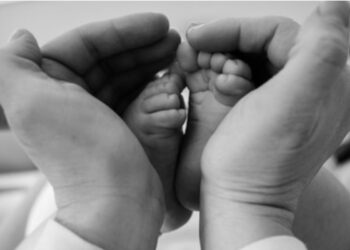 Salário-Maternidade: Passo a Passo para Novas Mães Garantirem o Auxílio