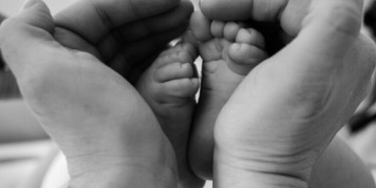 Salário-Maternidade: Passo a Passo para Novas Mães Garantirem o Auxílio