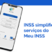 O Aplicativo "Meu INSS" não está funcionando? Saiba o que fazer agora!
