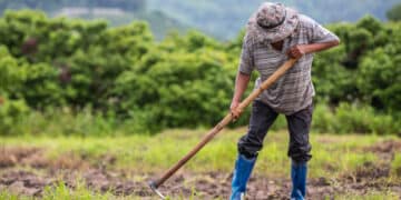 Como funciona a Aposentadoria Rural? Entenda