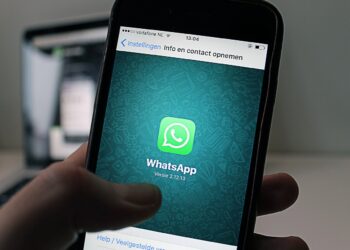 Como consultar o Extrato do Bolsa Família pelo WhatsApp?