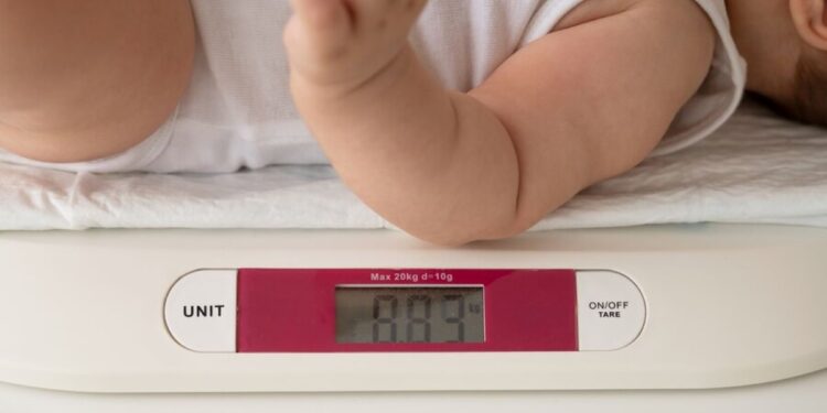 Fique atento aos prazos da PESAGEM do Bolsa Família Imagem Freepik