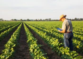 Governo Libera Apoio EXTRA para Agricultores: Confira as Novas Medidas!