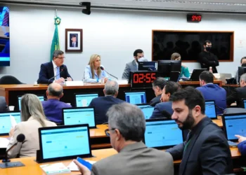Comissão Especial da Câmara dos Deputados Aprova Benefícios Para Todo o Mês de Agosto. Imagem: Agência Brasil.