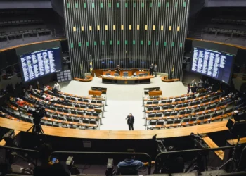 O Congresso Nacional do Brasil Aprovou Linhas de Crédito Acessíveis e Mecanismos de Renegociação de Dívidas Para Microempreendedores Individuais. Imagem: Agência Brasil.
