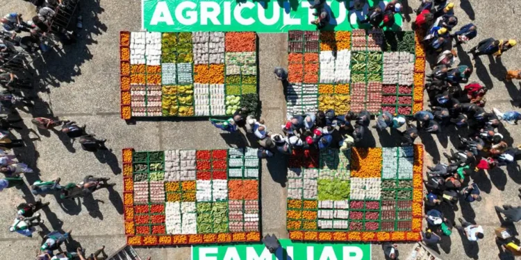 Participar do PPA e PNAE CANCELA o Bolsa Família?