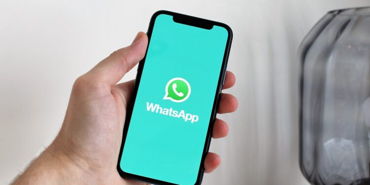 Como Receber Dicas e Calendário do Bolsa Família pelo WhatsApp