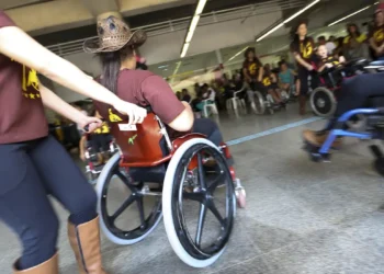 Além dos Serviços Regulares, o Dia D Também Oferecerá Oportunidades Adicionais Para as Pessoas Com Deficiência. Imagem: Agência Brasil.