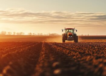 Áreas do agro com maior potencial de crescimento!
