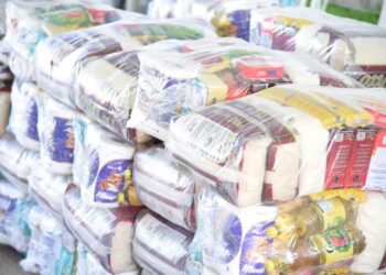 Bolsa Família irá distribuir cesta básica e cartão alimentação? Veja aqui!