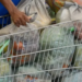 Saiba como solicitar a cesta básica do CRAS