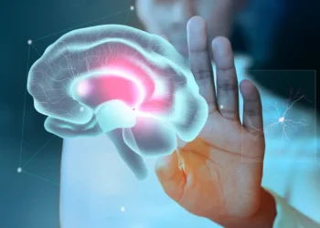 Imagem de um cérebro depois do Memorizen