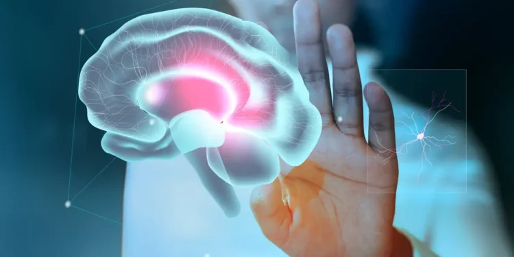 Imagem de um cérebro depois do Memorizen