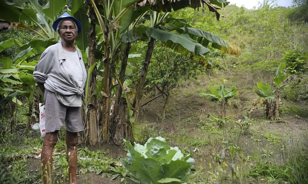 Mulher idosa em um campo rural, representando os beneficiários do Programa Desenrola Rural.