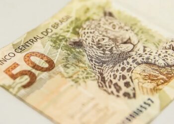 Nota de 50 reais, com destaque para a onça pintada, representando o valor dos benefícios sociais que podem ser acessados através do NIS.