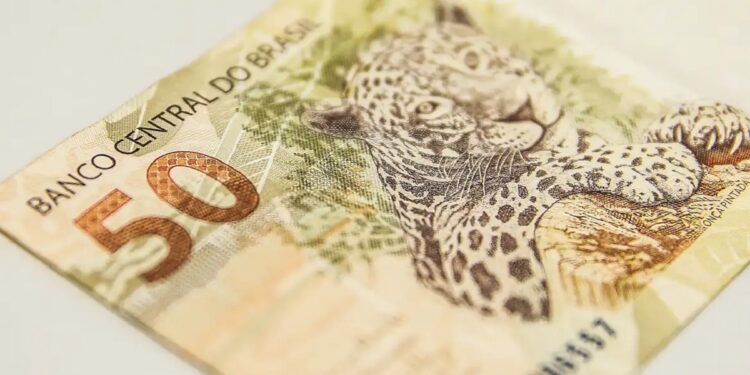 Nota de 50 reais, com destaque para a onça pintada, representando o valor dos benefícios sociais que podem ser acessados através do NIS.