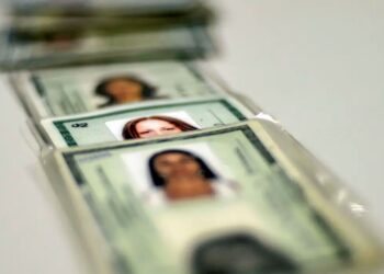 Conjunto de documentos de identidade (RG) sendo exibidos, com foco em um possível golpe de agendamento falso de emissão de RG em SC.