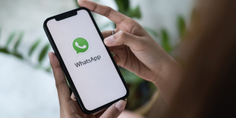 Imagem mostrando a tela inicial do WhatsApp com o logo do aplicativo, destacando a funcionalidade de consulta ao Bolsa Família.