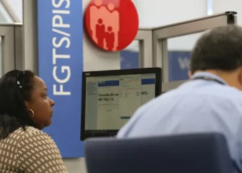 "Imagem de uma pessoa consultando o PIS na Caixa Econômica, com tela de consulta no computador."