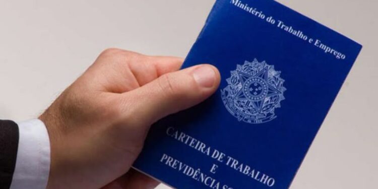 Mão segurando carteira de trabalho e previdência social