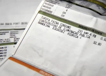 Detalhe de uma conta de energia elétrica com destaque para tarifas e consumo.