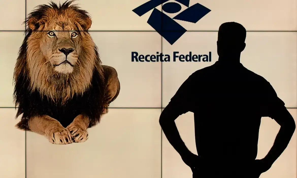 Silhueta de pessoa com logo da Receita Federal e leão, representando a importância de evitar a malha fina no IRPF.