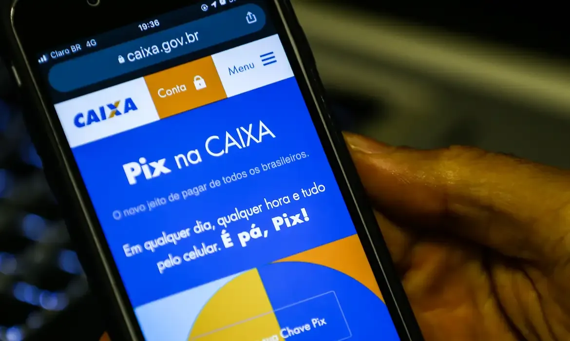 Tela do site da Caixa exibindo informações sobre o Pix