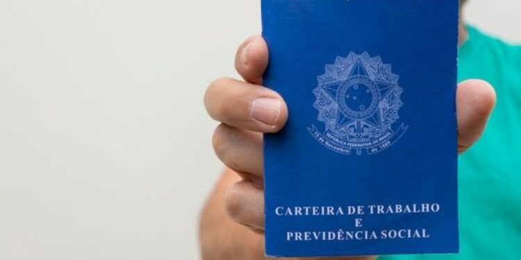 Carteira de Trabalho sendo exibida por trabalhador de camisa verde