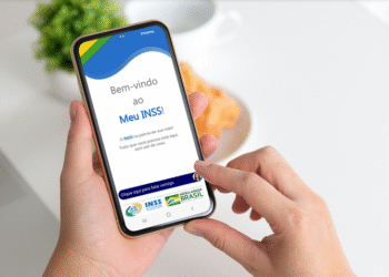 Tela do app Meu INSS mostrando a consulta de Prova de Vida em um celular.