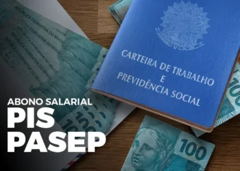 Carteira de Trabalho com cédulas de R$ 100, simbolizando o PIS/PASEP