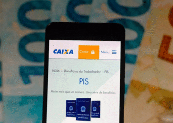 Imagem mostrando o site da Caixa Econômica com informações sobre o PIS