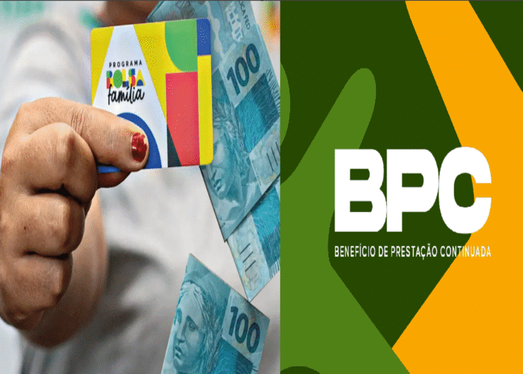 Passo a Passo: Como Solicitar e Consultar o Benefício BPC pelo INSS ...
