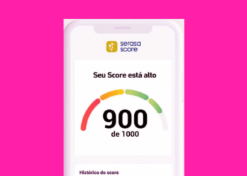 Imagem mostrando o Serasa Score com um valor de 900, indicando score alto.