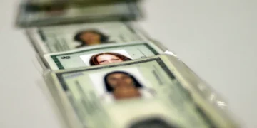 Série de documentos de identidade alinhados, com fotos de mulheres, sobre fundo branco desfocado