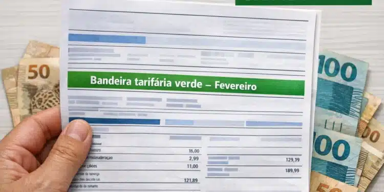 Mão segura conta de energia com destaque para bandeira verde ao lado de cédulas de reais.